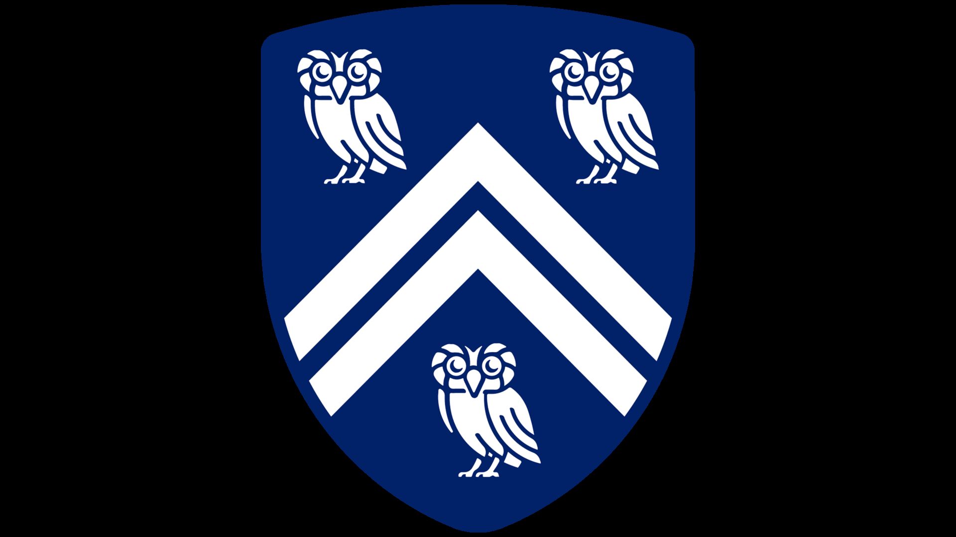 莱斯大学